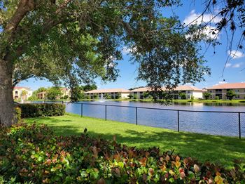 Lake view